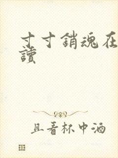 寸寸销魂在线阅读