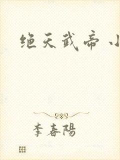 绝天武帝 小说