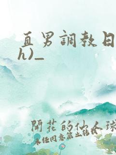 直男调教日记(h)_