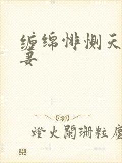 缠绵悱恻天价前妻