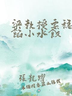 梁教授要稳住肉馅小水饺