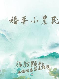 婚事小农民