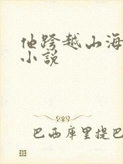 他跨越山海而来小说
