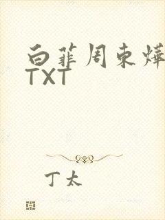 白菲周东烨小说TXT
