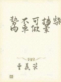 势不可挡柴鸡蛋肉车做晕