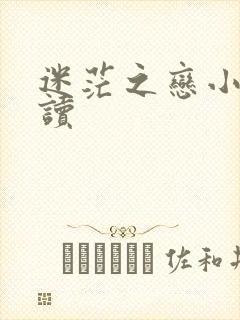 迷茫之恋小说阅读