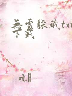 无处躲藏txt下载