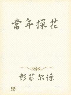 当年探花