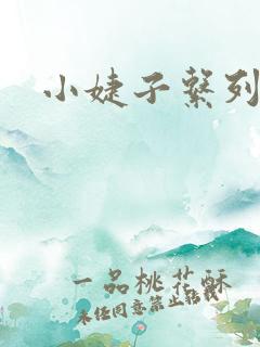小婕子系列小说