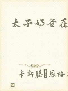 太子奶爸在都市