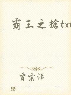 霸王之枪txt