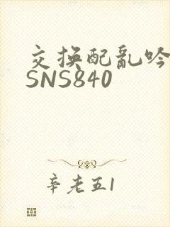 交换配乱吟粗大SNS840