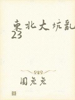 东北大坑乱1—23