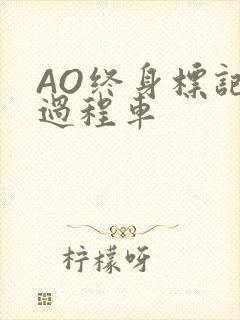 AO终身标记全过程车