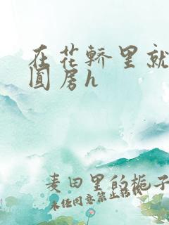 在花轿里就开始圆房h