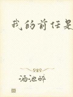 我的前任是极品