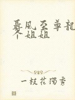 聂风至尊龙王七个姐姐