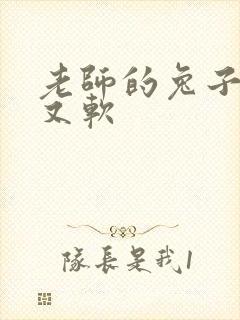 老师的兔子又大又软