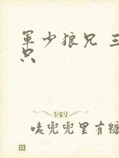 军少狼兄 三两只