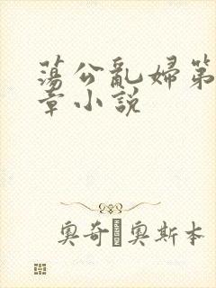 荡公乱妇第51章小说