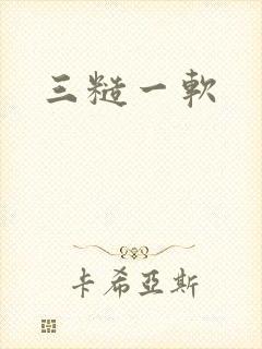 三糙一软
