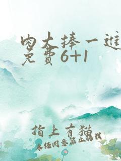 肉大捧一进一出免费6+1