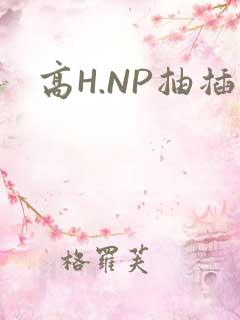 高H.NP抽插
