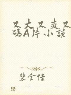 又大又爽又黄无码A片小说