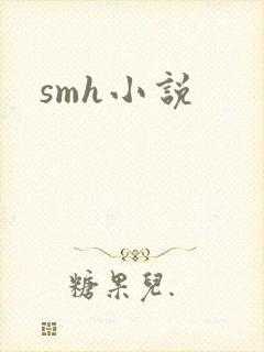 smh小说