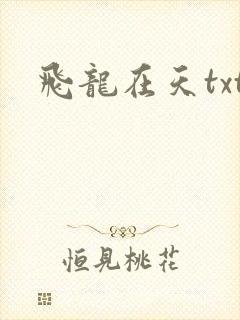 飞龙在天txt