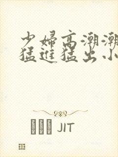 少妇高潮潮喷到猛进猛出小说