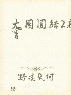 大团圆结2亲情会