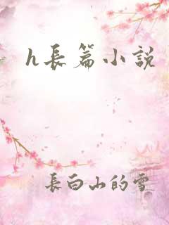 h长篇小说