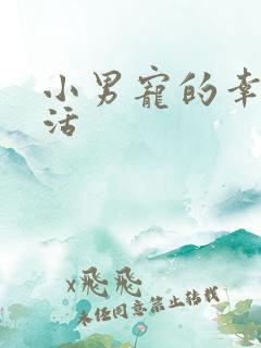 小男宠的幸福生活