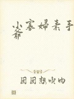 小寡妇素手擒四爷