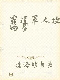 霸道军人攻现代肉多