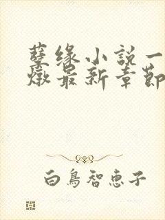 孽缘小说一家乱炖最新章节阅读