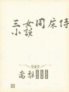 三女同床侍一夫小说