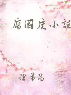 腐国度小说