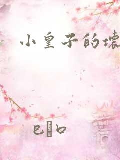 小皇子的坏王妃