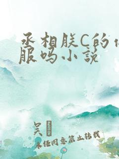 丞相朕C的你舒服吗小说