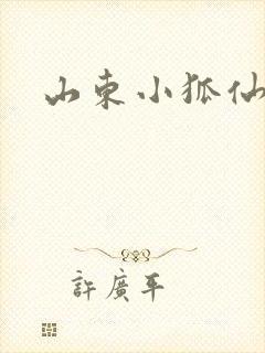 山东小狐仙