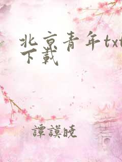 北京青年txt下载