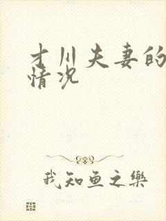 才川夫妻的恋爱情况