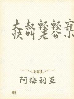 大叔轻轻宠宝贝快叫老公小说