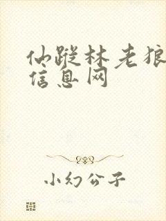 仙踪林老狼贰佰信息网