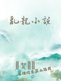 乱龙小说