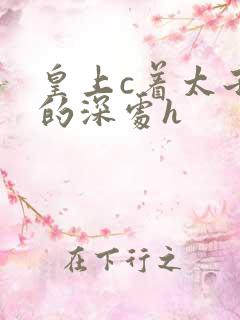 皇上c着太子妃的深处h