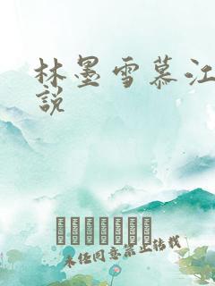 林墨雪慕江行小说