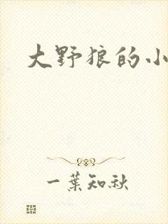 大野狼的小猫咪